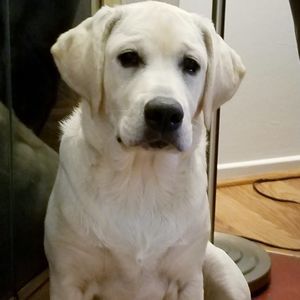 Meet your Posher, Jillian